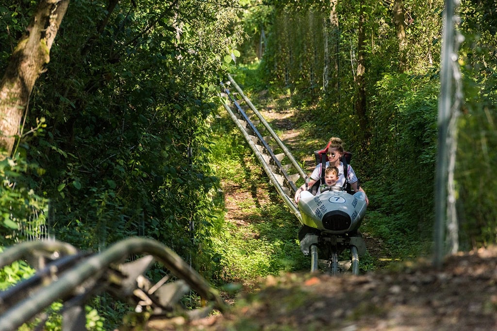 Die Natur-Bobbahn im Kienbergpark wurde durch ein Feuer zerstört. Diesen Sommer aber soll die Bahn voraussichtlich wieder öffnen.