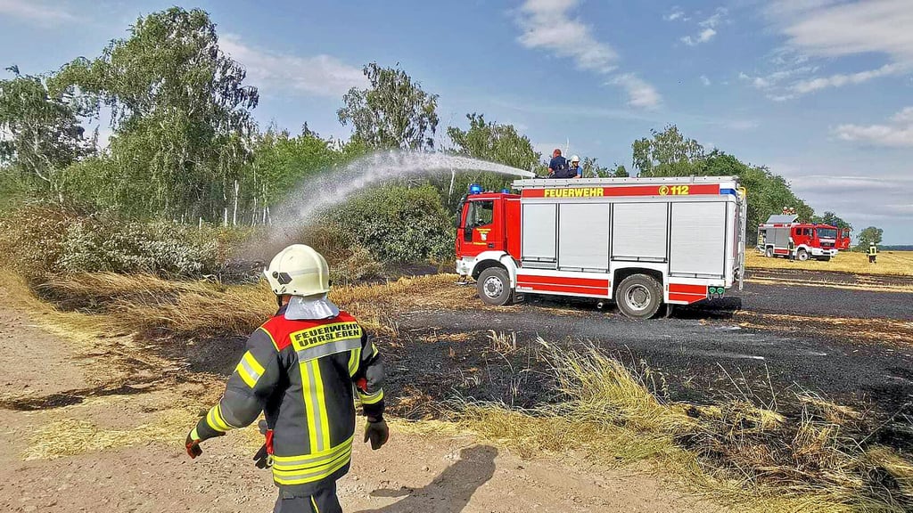 Kurz vor einem Waldstück konnte der Stoppelfeldbrand an der Bundesstraße 1 zwischen Erxleben und Brumby von der Feuewehr gelöscht werden.