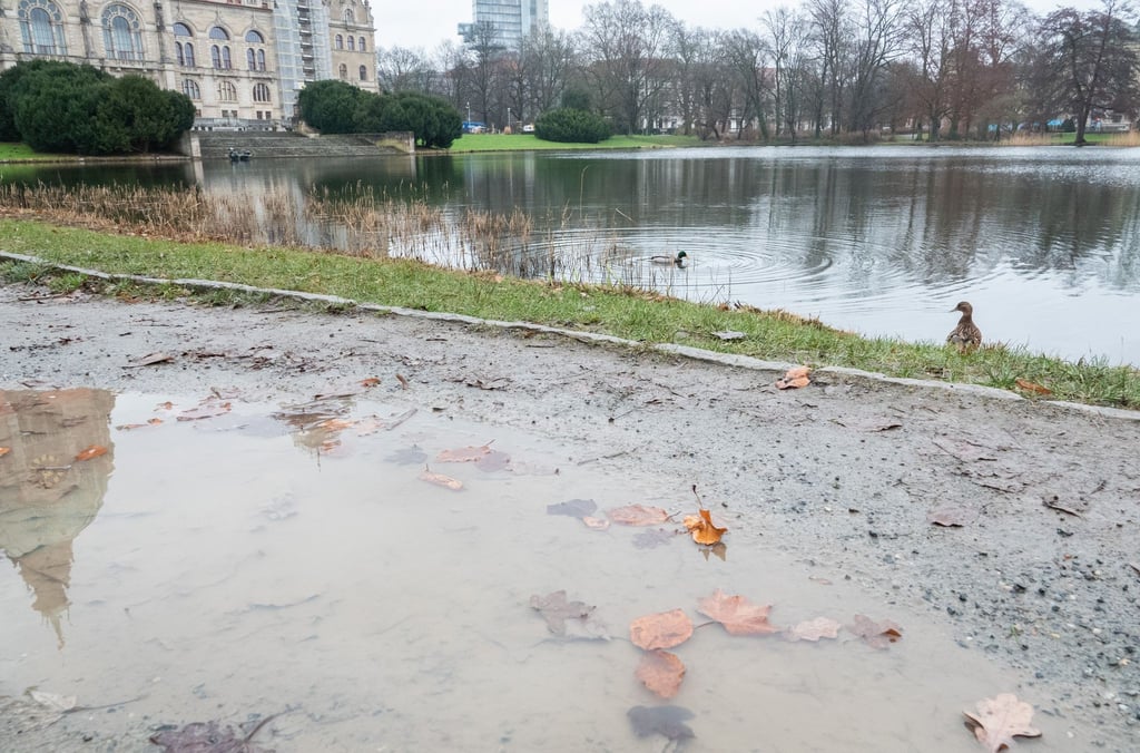 In einer Pfütze spiegelt sich ein Teil des Rathauses Hannover wider.