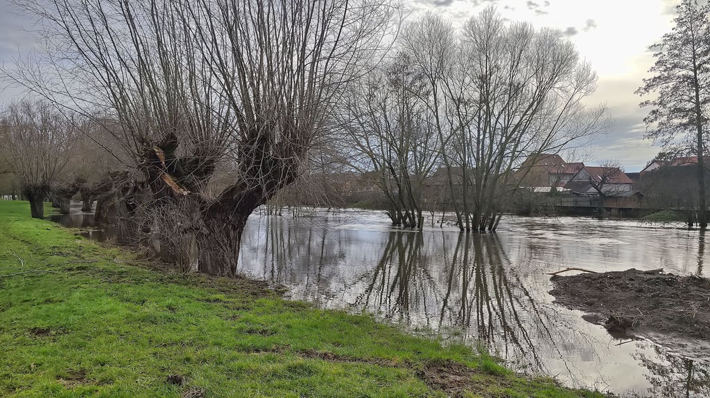 Das Hochwasser in Mansfeld-Südharz hat vielerorts sehr viel Schaden angerichtet.