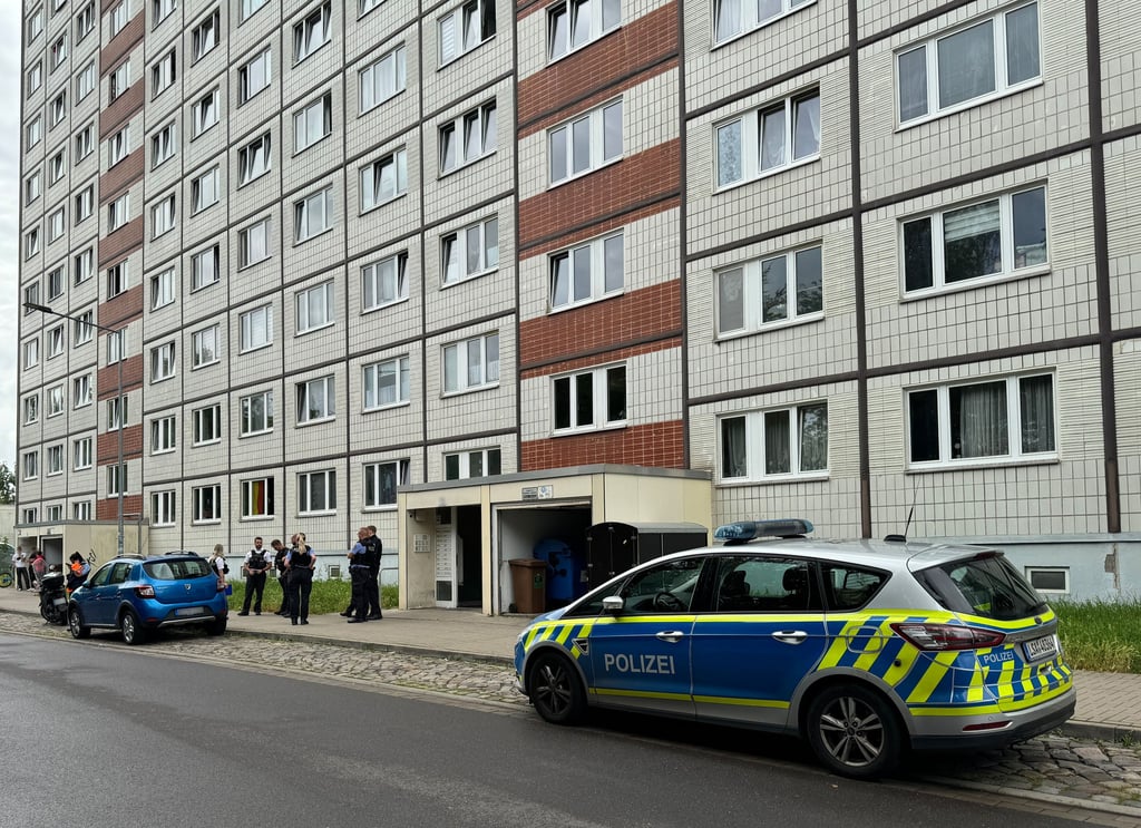 Bei einem Messerangriff in Magdeburg ist eine Frau schwer verletzt worden.