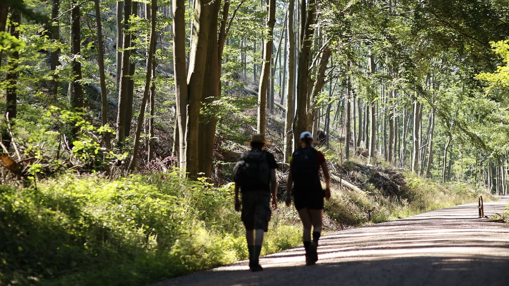 Wanderer wurden vor kurzem im Harz bei Ilsenburg Opfer von Überfällen. Wie sollten sich Ausflügler in solchen Situationen verhalten?