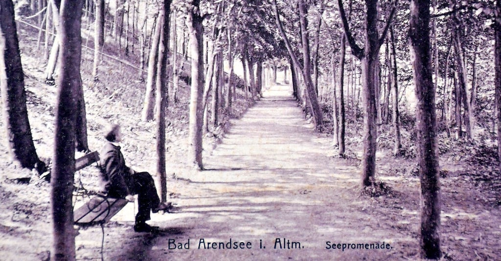 Die Seepromenade wurde um 1900 angelegt und diese Postkarte 1908 verschickt. Die damals noch kleinen Bäume sind zu stattlichen Exemplaren geworden.