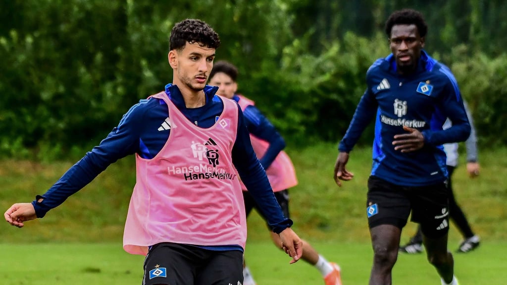 Mit seinen guten Leistungen beim 1. FC Magdeburg hatte sich Daniel Elfadli sogar in den Fokus von Bundesliga-Klubs gebracht.