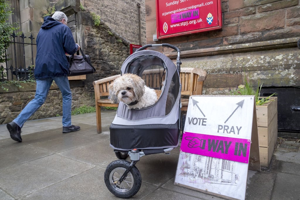 Die Menschen in Großbritannien gelten als besonders tierlieb und bringen ihre Hunde oft zum Wählen mit.