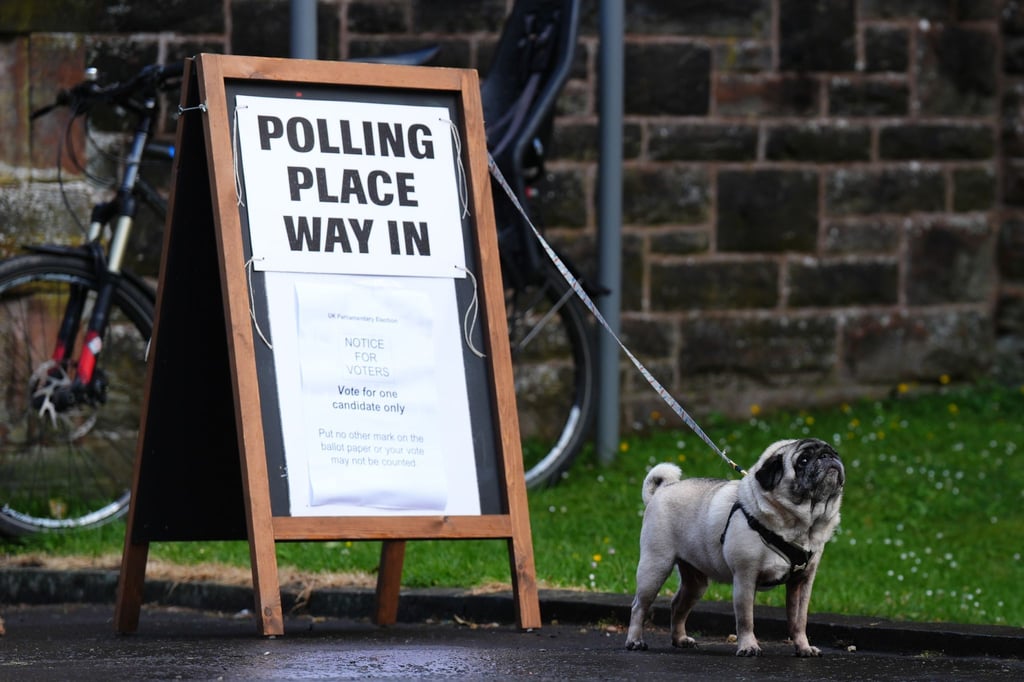 Die Menschen in Großbritannien gelten als besonders tierlieb und bringen ihre Hunde oft zum Wählen mit.