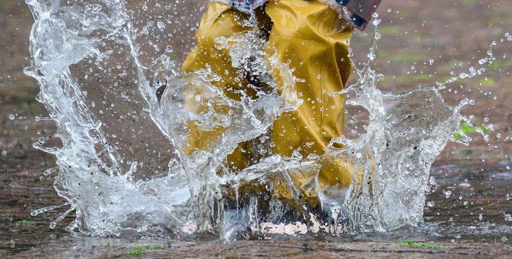 Es gibt kein schlechtes Wetter! Nur keine passende Kleidung. Also los geht's zu unseren Tipps rund um Sachsen-Anhalt.