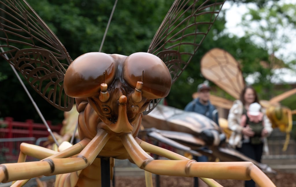 Das Modell einer Eintagsfliege ist im Zoo Leipzig zu sehen. Seit Juni bevölkern 27 „Winzige Giganten“ den Zoo. So lautet der Titel einer Ausstellung zu Insekten aus aller Welt. Mit bis zu 2,5 Metern Höhe und drei Metern Länge stehen die sonst winzigen Lebewesen den Zoobesuchern gegenüber und bieten eine interessante Perspektive.
