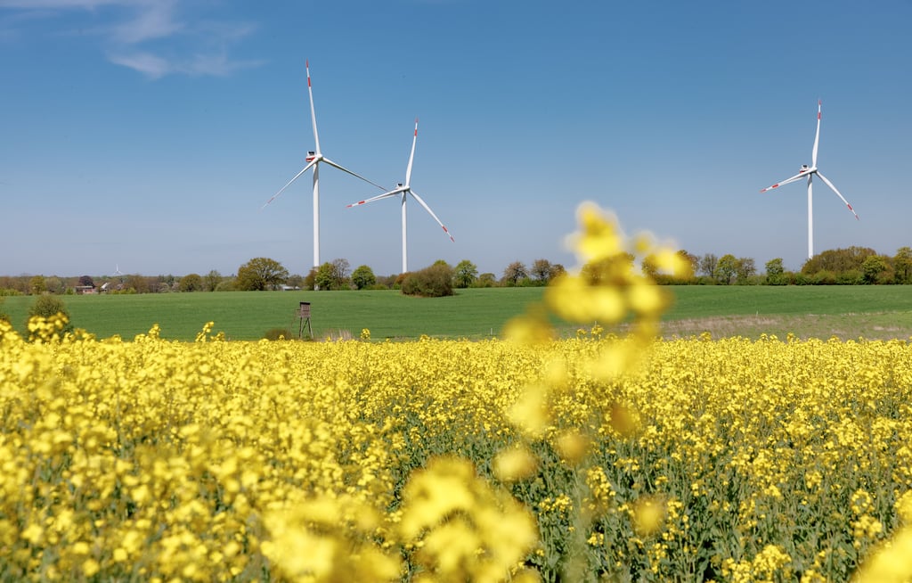 Gegen Windräder in der Altmark gibt es vielerorts Widerstand.
