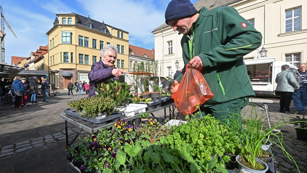 Hat sich mit seinen frischen Produkten in Aschersleben etabliert: der Grüne Markt auf dem Holzmarkt.
