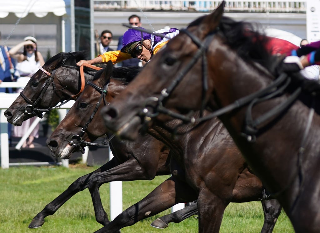Auf der Galopp-Rennbahn in Hamburg-Horn fand der dritte Renntag statt.