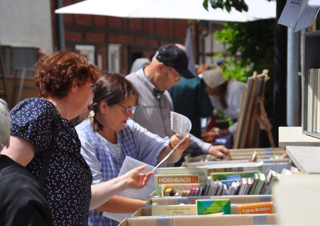 Biedermeier-Sommermarkt 2024 in Werben (Elbe), Landkreis Stendal: "Böker hökern" in der Straße Schadewachten.