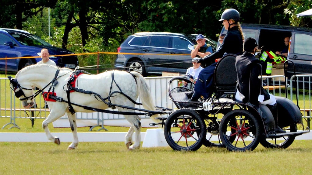 In Bösdorf wurde anspruchsvoller Sport mit Pferdegespannen geboten.