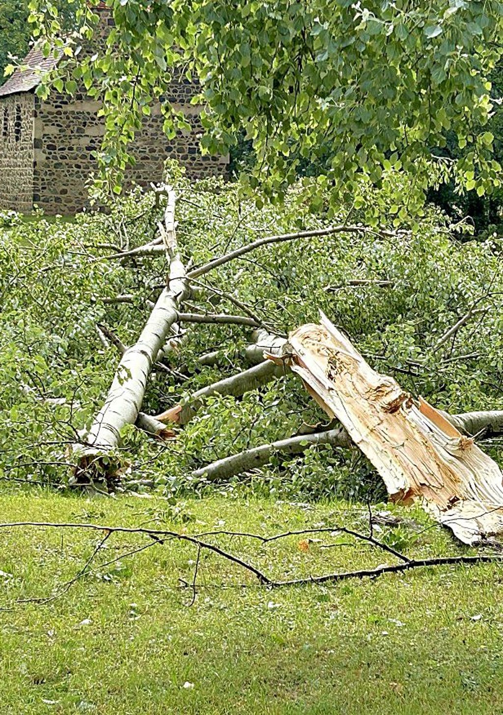Der Gutspark trug durch das Unwetter Schäden davon.