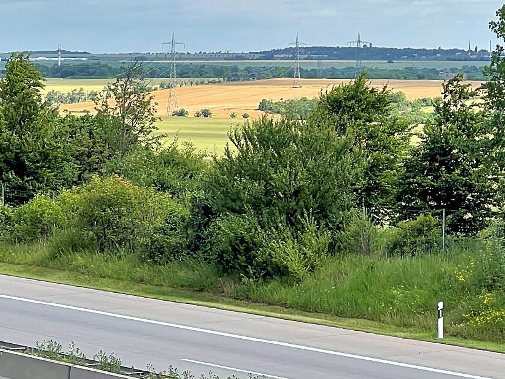 An der Autobahn 14 zwischen Plötzkau und Aderstedt soll ein Solarpark entstehen.