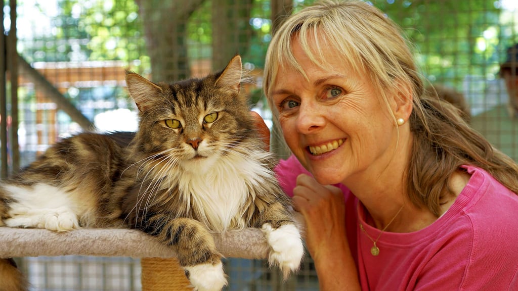 Steffi Ihm gehört zu den freiwilligen Helfern im Tierheim und hofft, dass Stella und ihr Katzensohn Silver bald in gute Hände kommen.