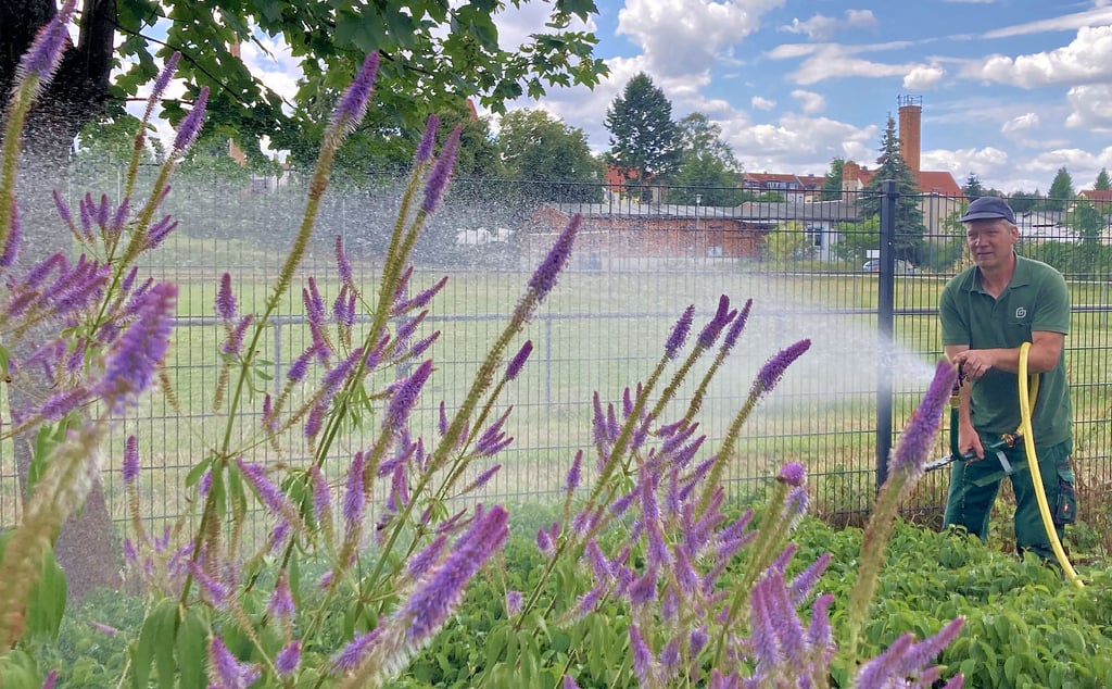 Sommer meldet sich zurück Die Temperaturen steigen wieder im