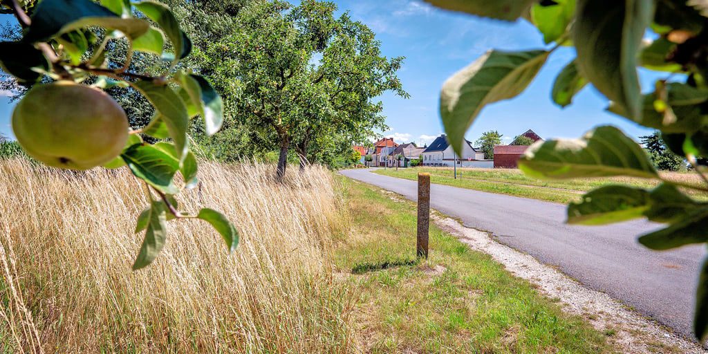 Das Bankett an der Straße zwischen Karith und Pöthen wurde gemäht, der Rest unter den Apfelbäumen stehen gelassen. Das hat zu Kritik aus der Bevölkerung geführt.