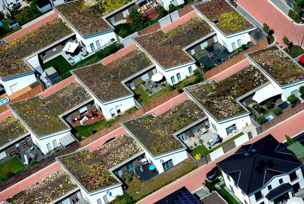 Auch Steildächer können bepflanzt werden, sofern die Dachneigung maximal 35 Grad beträgt. Bepflanzte Dächer fördern die Artenvielfalt und absorbieren CO2 sowie Feinstaub.