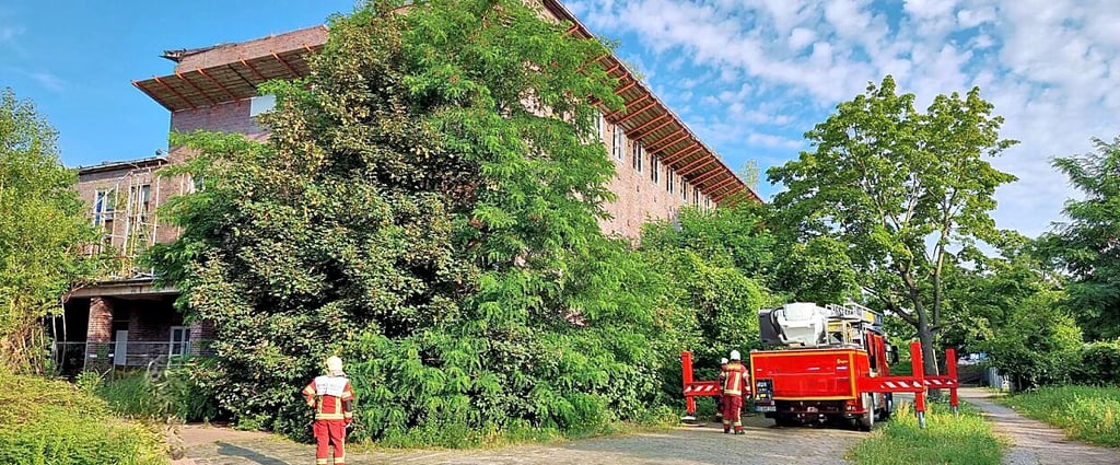 Die Dessauer Feuerwehr war am Mittwoch an der ehemaligen Dessauer BIG-Disko im Einsatz.