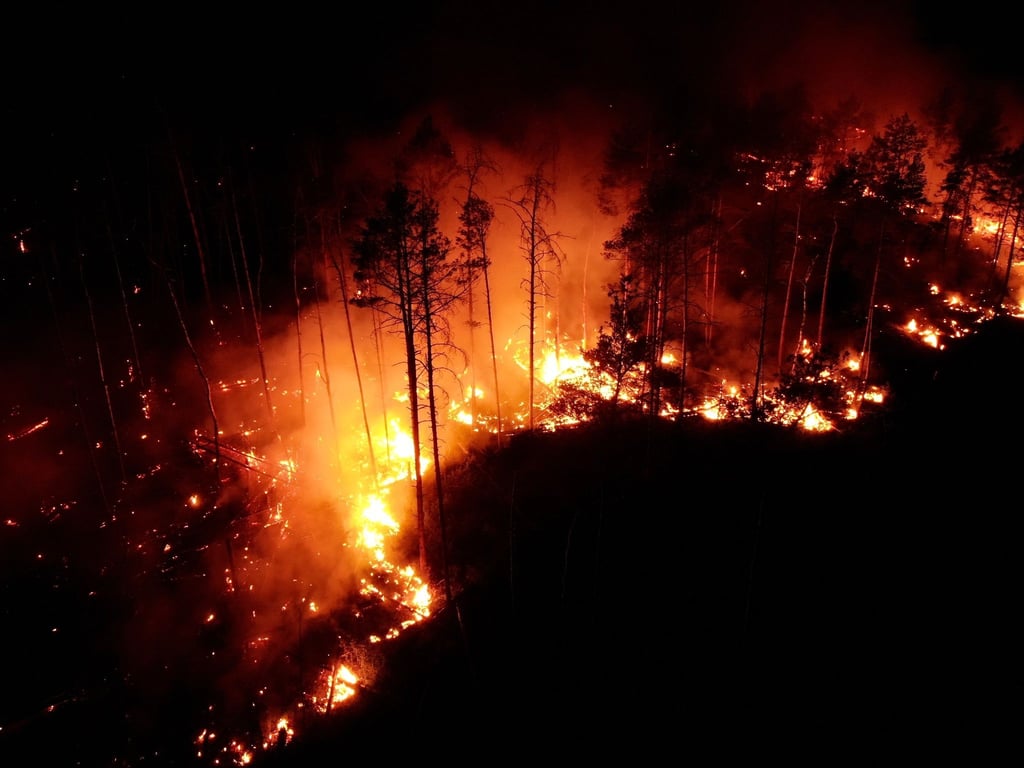 2023 loderten die Flammen im Wald bei Jüterbog. Die Waldbrand-Saison in diesem Jahr ist bislang glimpflich abgelaufen. (Archibild)