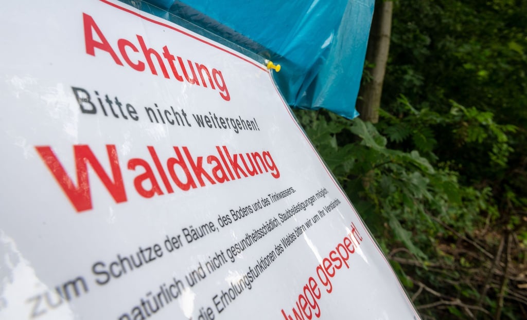 Sachsen Wälder werden wieder aus der Luft gekalkt.