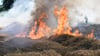 In Wolmirsleben hat ein Feuer rund 4.500 Tonnen Stroh vernichtet.