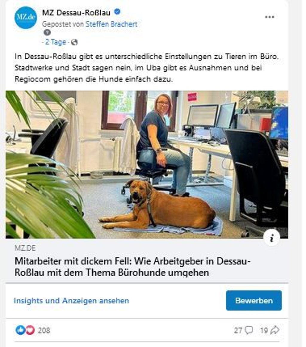 Der Facebook-Post zum Artikel über Hunde im Büro.