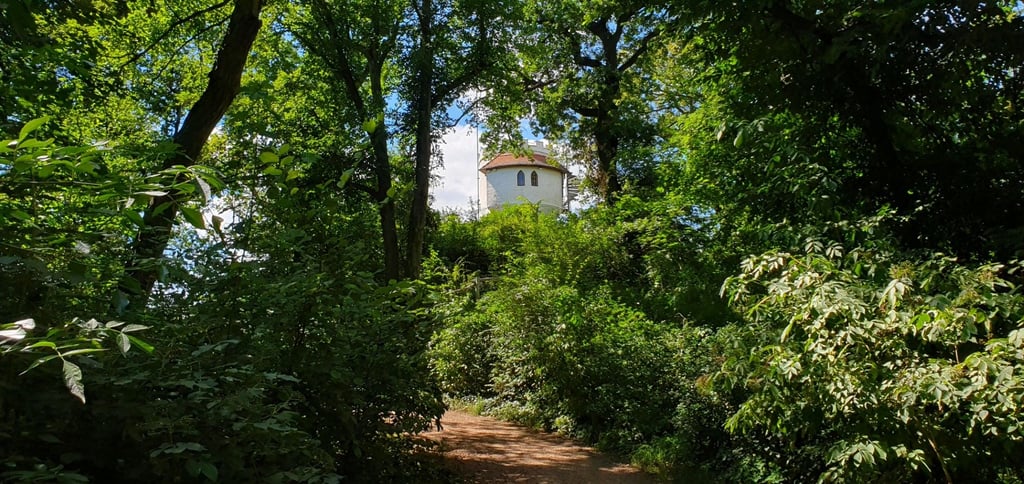 Blick auf die Wallwitzburg.