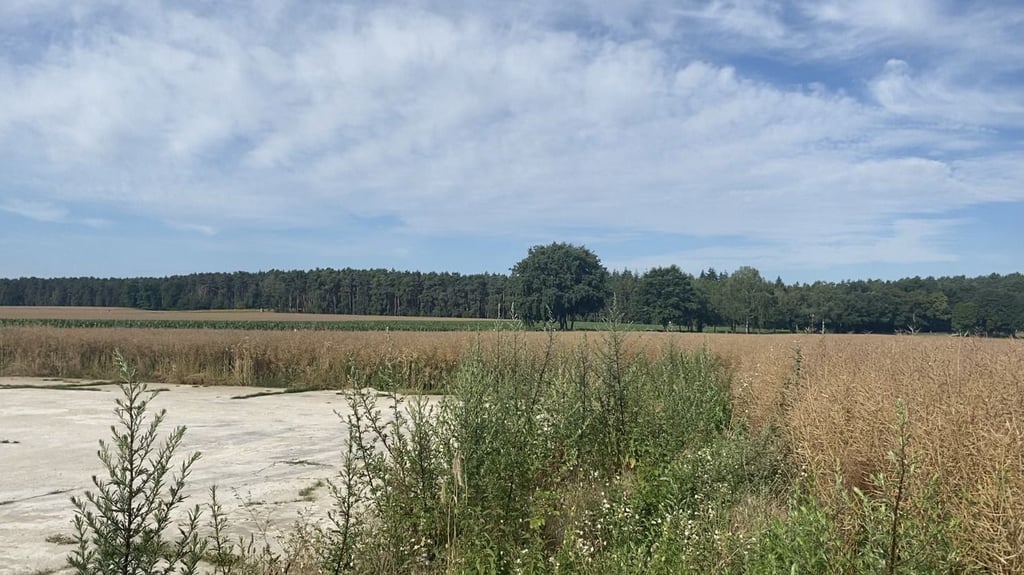 Im bisher durchwachsenen Sommer zeigt sich hier die Altmark kurz vor Klötze von ihrer stillen Seite, wäre da nicht die Landstraße gewesen.