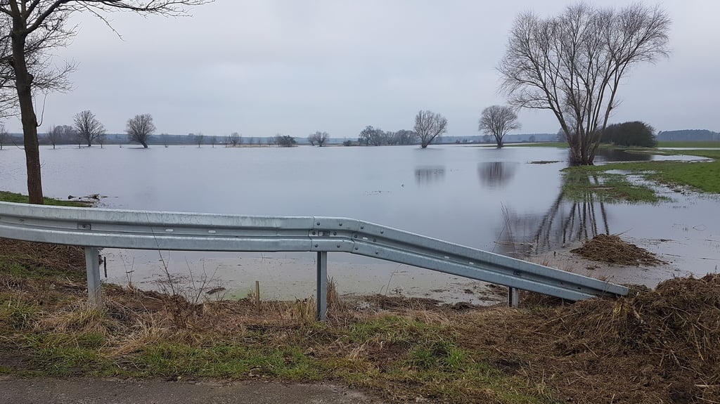Überflutete Wiesen in Seehausen, Ende Februar 2024: Durch das Hochwasser in Aland und Umfluter gab es Rückstau, die Entwässerung hat nicht mehr funktioniert.