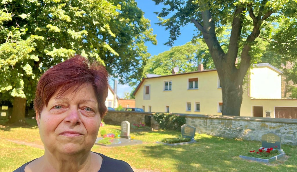 Fernsehempfang In Bernburg: Erst wenn das Laub fällt, gibt’s ein Bild im TV