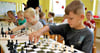 20 Kinder haben am Schachturnier in der Kita „Regenbogen“ in Hettstedt teilgenommen.