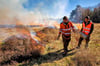 Mitarbeiter brennen in Abstimmung mit der Unteren Naturschutzbehörde zur Landschaftspflege Besenheide ab. Das ist aktuell auch auf dem Truppenübungsplatz Altmark der Fall sein.