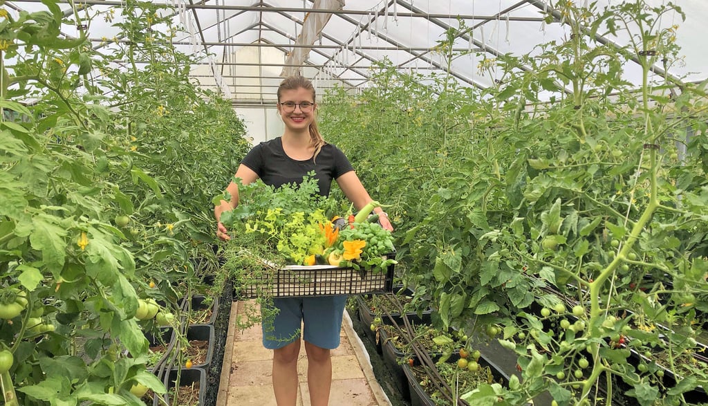 Janina Steffen im Tomatengewächshaus. In den Händen hat sie eine „Kräuter- und Gemüsekiste“ für das Teehäuschen.