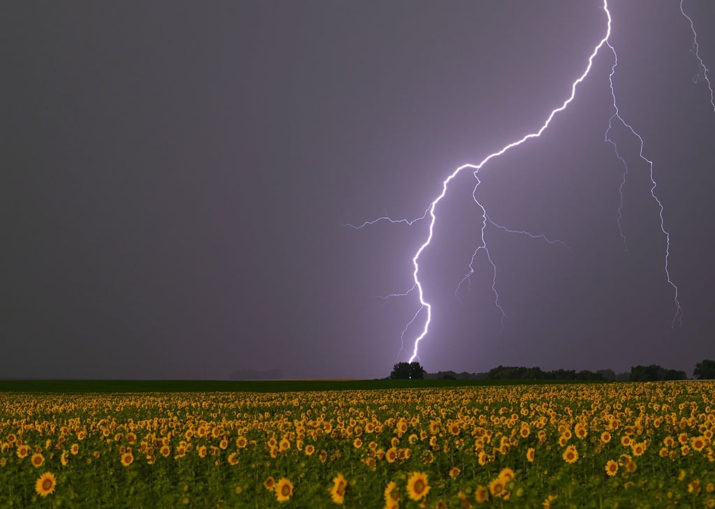 Teilweise sind Gewitter mit Hagel und Starkregen zu erwarten. (Symbolbild)
