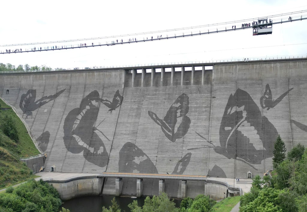 Ein Schwarm von elf Schmetterlingen - das „Reverse Graffiti“ auf der Rappbodetalsperre im Harz ist fertig.