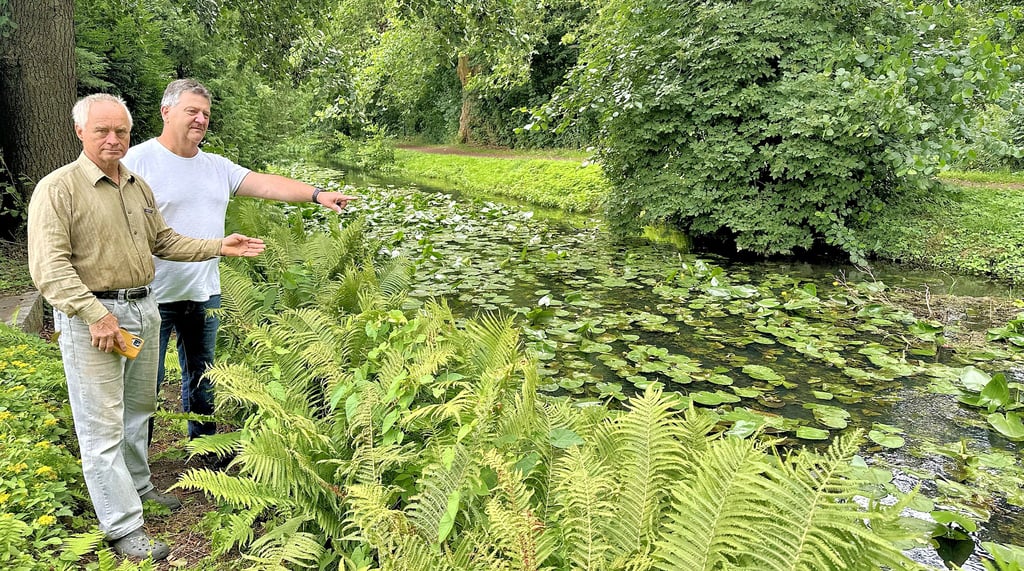 Peter May und Frank Krzenciessa von der Burger BI „Lebendige Ihle" am Flussufer des Ihleweges. Beide sorgen sich um den Pegel des Flusses.