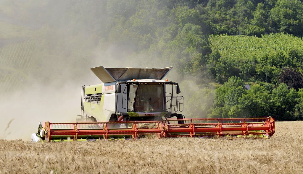 Alle Jahre wieder: Mähdrescher bringen die Ernte ein, hier auf einem Feld zu Füßen der Weinberge bei Roßbach.