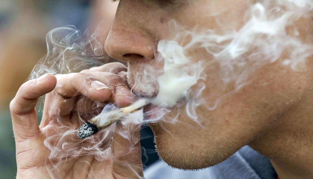 Der Geruch von Cannabis, ob von den Pflanzen oder vom Rauch, ruft Suchtdruck hervor, wie Drogenabhängige aus dem Burgenlandkreis erzählen. (Symbolbild).