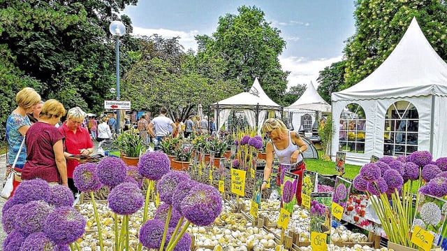 Abschied vom Stadtpark in Dessau Überraschender Umzug Gartenmesse