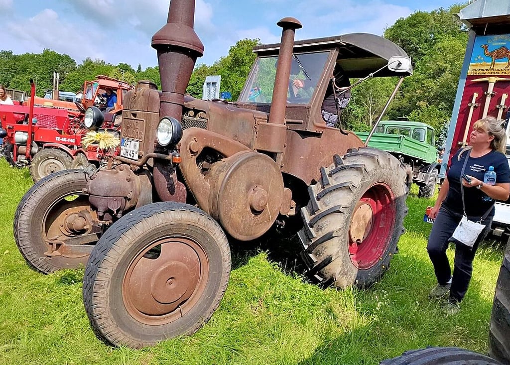 Traktoren verschiedener Baujahre und andere Oldtimer werden in Biesenrode präsentiert.