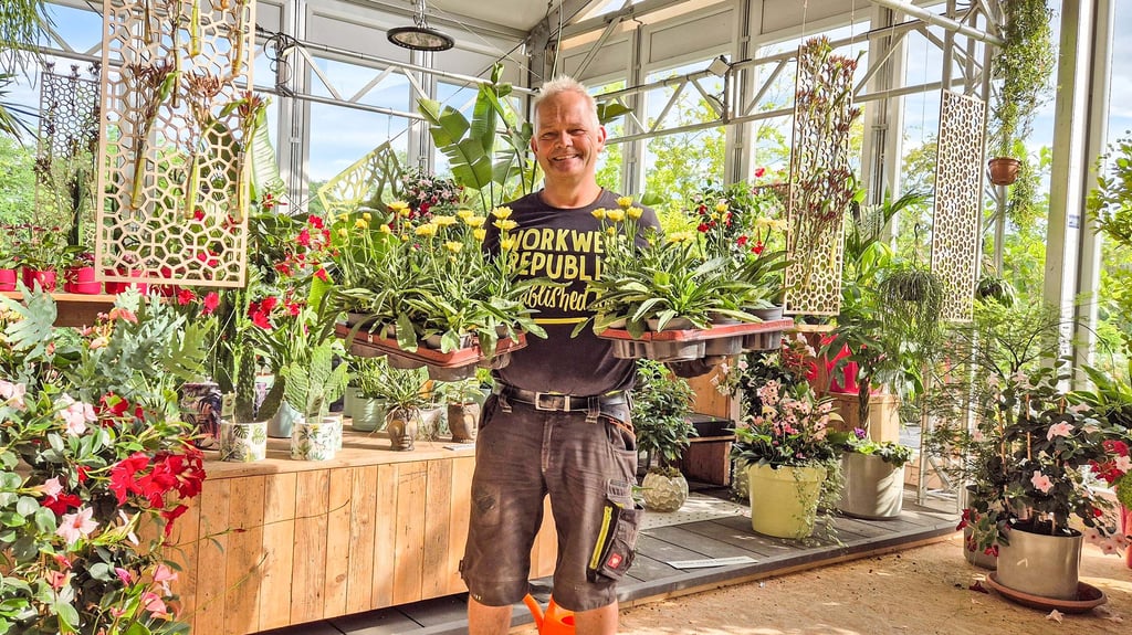 Bert von der Forst leitet die Umpflanzung für die neue Blumenschau in der Blumenhalle.