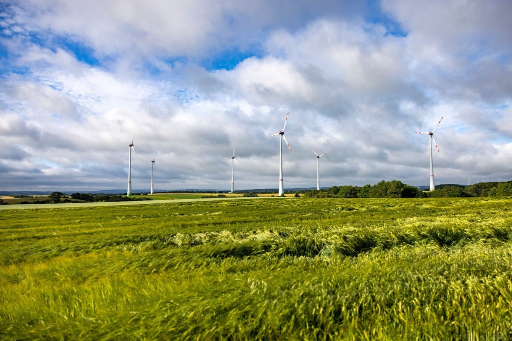 Der Ausbau der Windkraft verliert an Tempo - zumindest vorübergehend.