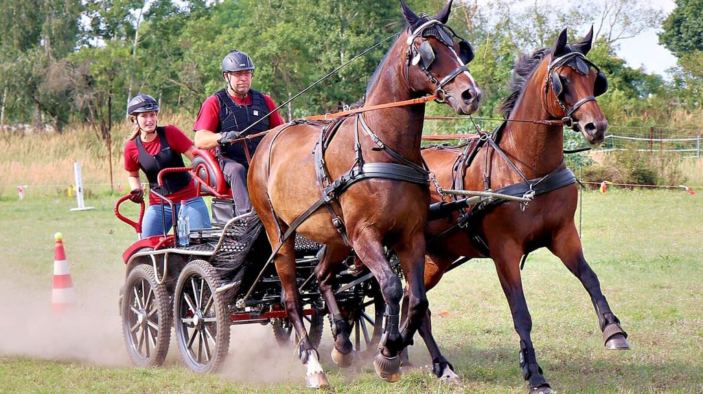André Langer lenkt das Gespann durch die Hindernisstrecke in Bergwitz.