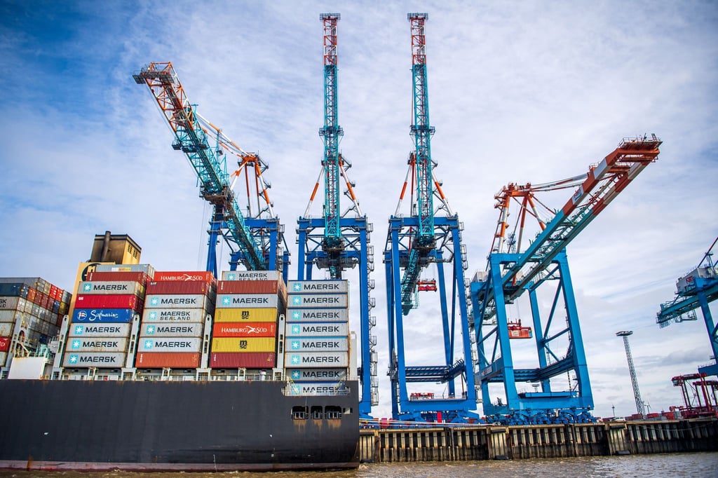 Das von den Spinnen befallene Schiff wird voraussichtlich noch einige Wochen in Bremerhaven bleiben. (Illustration)