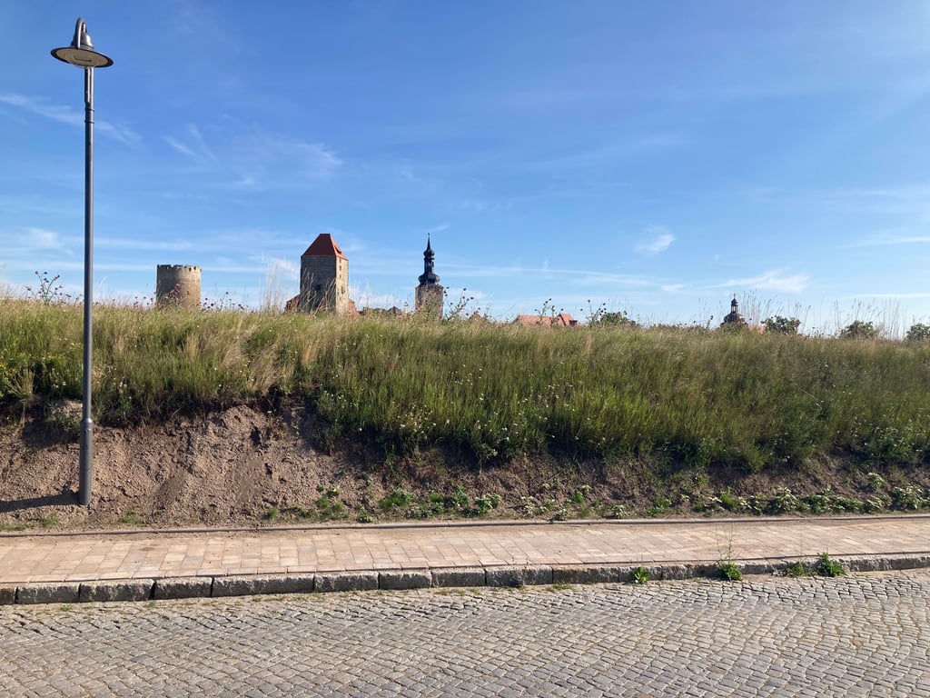 Insgesamt sieben Straßenleuchten wurden am Burgring erneuert.