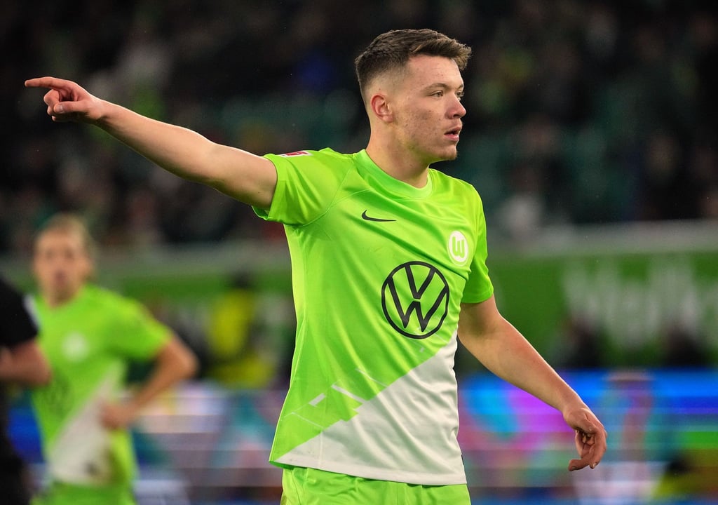 Fortuna Düsseldorf leiht Dzenan Pejcinovic vom VfL Wolfsburg aus.