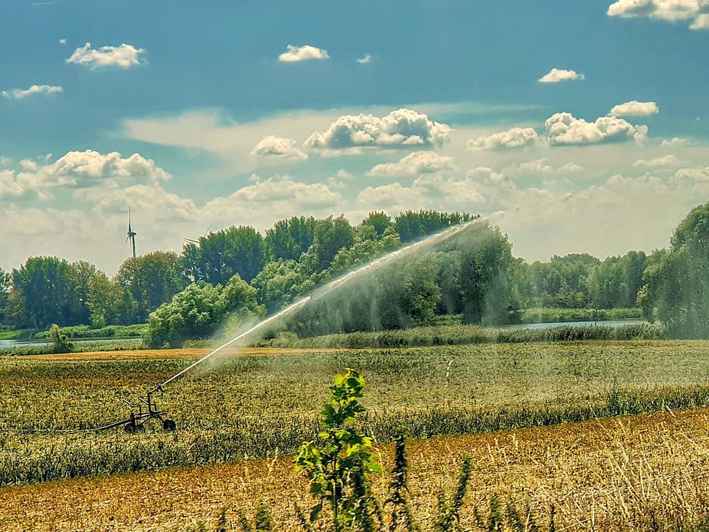 Da ging es los: Im Sommer 2022 wurde im Salzlandkreis eine Allgemeinverfügung zur Wasserentnahme verkündet. Das damit verbundene Verbot sollte bis Anfang 2024 gelten.