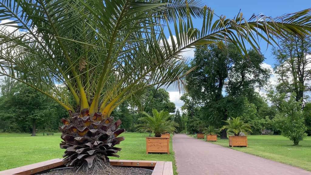 Der Magdeburger Zoo ist ein besonderer Park.